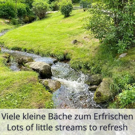 Auszeit Black Forest