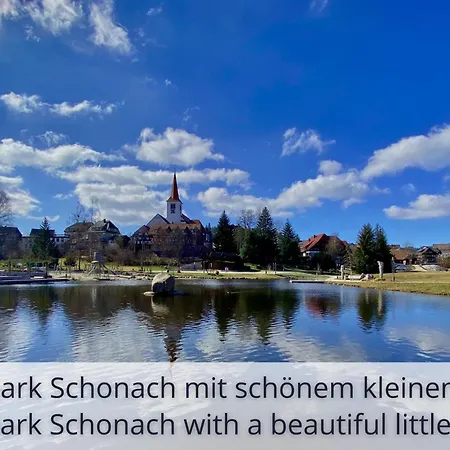 Auszeit Black Forest: Panoramic Retreat With Indoor Pool And Sauna * Schonach im Schwarzwald
