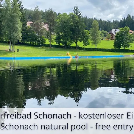 Auszeit Black Forest: Panoramic Retreat With Indoor Pool And Sauna Apartment