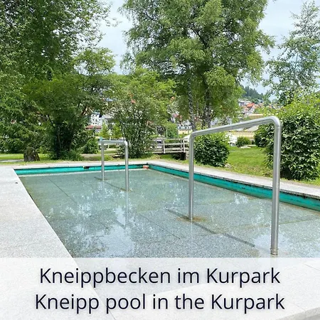 Auszeit Black Forest: Panoramic Retreat With Indoor Pool And Sauna