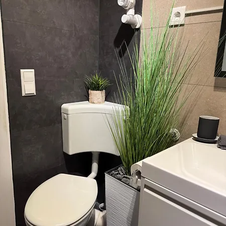 Zur Birke شقة سخوناخ