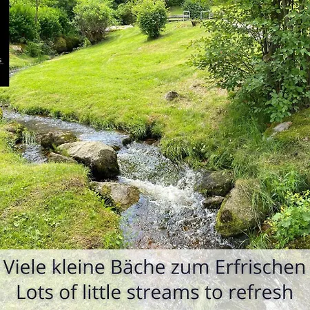 Apartment Auszeit Black Forest: Panoramic Retreat With Indoor Pool And Sauna *