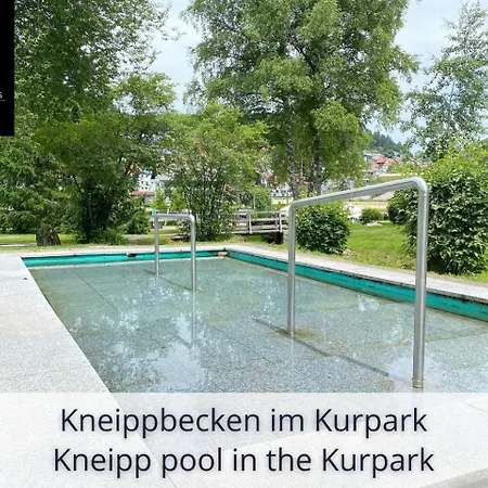 Auszeit Black Forest: Panoramic Retreat With Indoor Pool And Sauna Apartment *