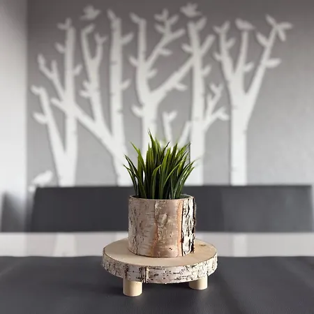 Zur Birke شقة سخوناخ