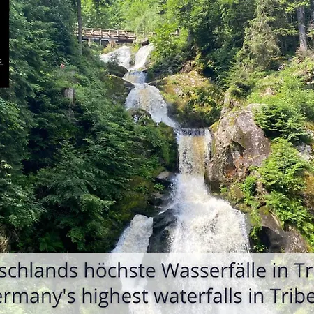 Zur Birke شقة سخوناخ