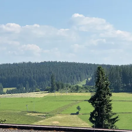 Apartmán Zur Birke