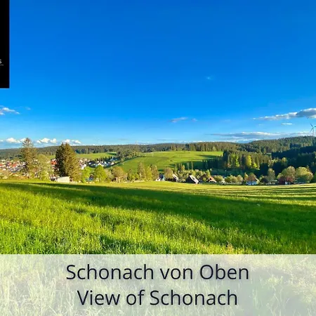 Apartment Zur Birke *